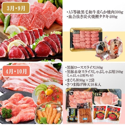 定期便6回配送 【当店限定】ごちそうまんきつセット FF-6004