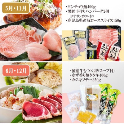 定期便6回配送 【当店限定】ごちそうまんきつセット FF-6004
