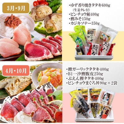 枕崎・お魚よりどり詰め合わせ定期便(6回配送)　FF-6005