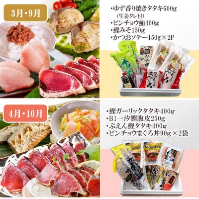 枕崎・お魚よりどり詰め合わせ定期便(6回配送)　FF-6005