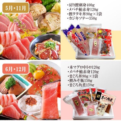 枕崎・お魚よりどり詰め合わせ定期便(6回配送)　FF-6005