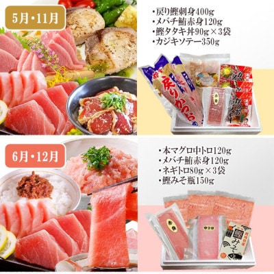 枕崎・お魚よりどり詰め合わせ定期便(6回配送)　FF-6005