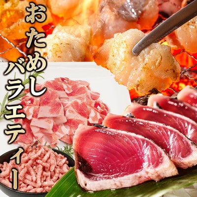 おためしバラエティー A0-19