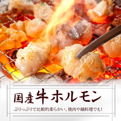 おためしバラエティー A0-19