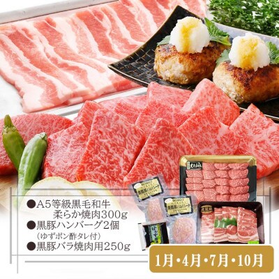 定期便3回配送　お肉とお魚よりどり定期便 LL-6016