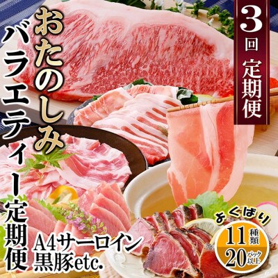 定期便(3回配送)　お楽しみバラエティー定期便 LL-6017