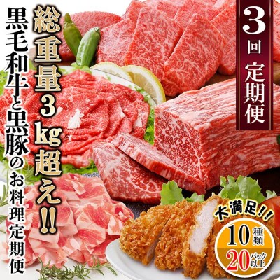 総重量3Kg越え、鹿児島県産黒毛和牛と黒豚のお料理定期便(3回配送)　EE0-0002
