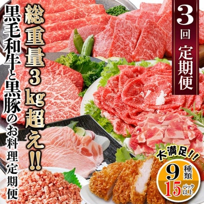 総重量3Kg越え、鹿児島県産黒毛和牛と黒豚のお料理定期便(3回配送)　EE0-0002