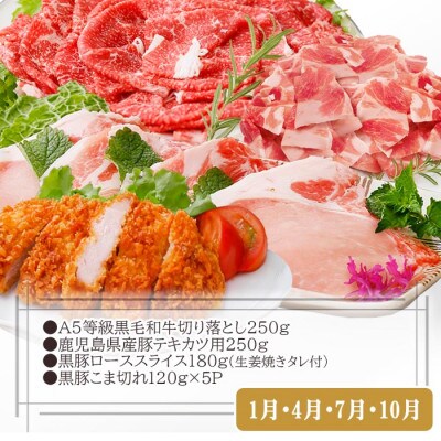 総重量3Kg越え、鹿児島県産黒毛和牛と黒豚のお料理定期便(3回配送)　EE0-0002
