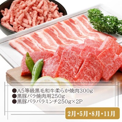 総重量3Kg越え、鹿児島県産黒毛和牛と黒豚のお料理定期便(3回配送)　EE0-0002