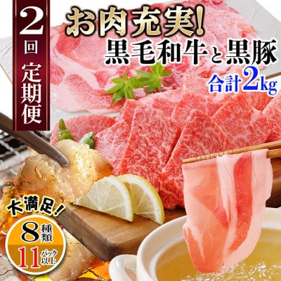 定期便2回配送　お肉充実!黒毛和牛・黒豚　合計2Kg　DD-6011