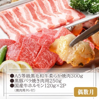 定期便2回配送　お肉充実!黒毛和牛・黒豚　合計2Kg　DD-6011