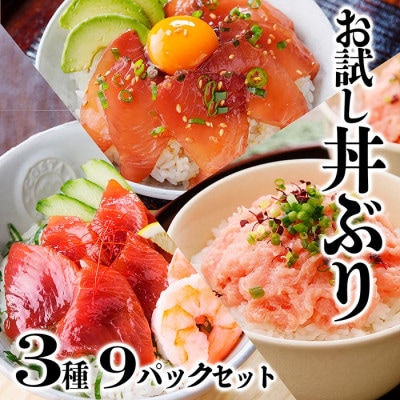 お試し丼ぶり3種9パックセット　A0-63