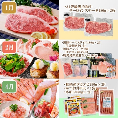 定期便8回配送　ぜいたく!!お楽しみ定期便　HH0-0001