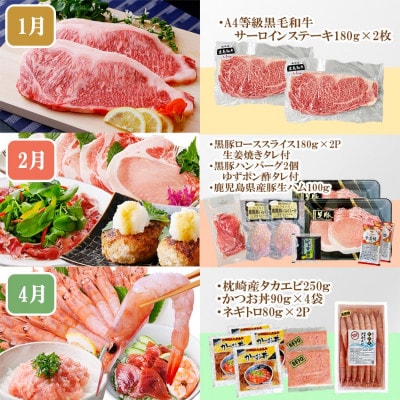 定期便8回配送　ぜいたく!!お楽しみ定期便　HH0-0001