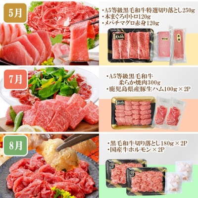 定期便8回配送　ぜいたく!!お楽しみ定期便　HH0-0001