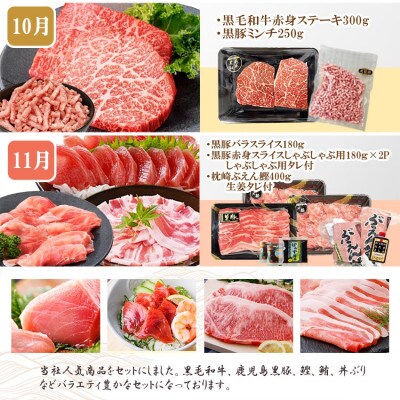 定期便8回配送　ぜいたく!!お楽しみ定期便　HH0-0001