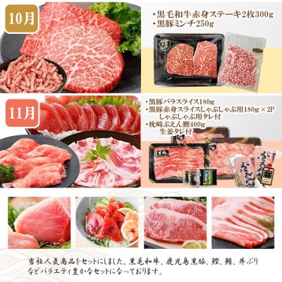 定期便8回配送　ぜいたく!!お楽しみ定期便　HH0-0001