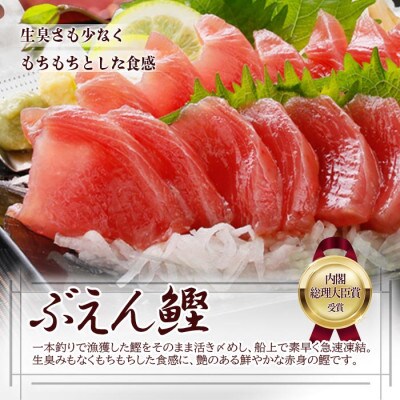 【お中元・のし付き】枕崎ぶえん鰹(活き〆かつお刺身)モチモチ食感! A3-143C