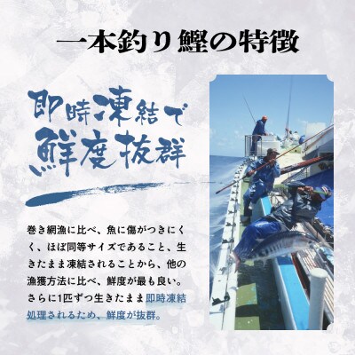 【お中元・のし付き】枕崎ぶえん鰹(活き〆かつお刺身)モチモチ食感! A3-143C