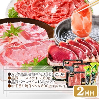 定期便2回配送　いろいろ試せる!ミニ削り器&お肉・お魚お届け便　CC0-0003