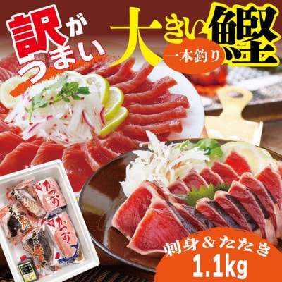 【訳あり】大きい!!!サイズの炭火焼鰹タタキ&さしみ　A0-35