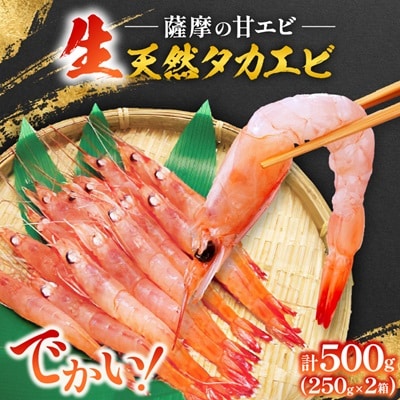 【薩摩の甘エビ】天然タカエビ500g　A1-10