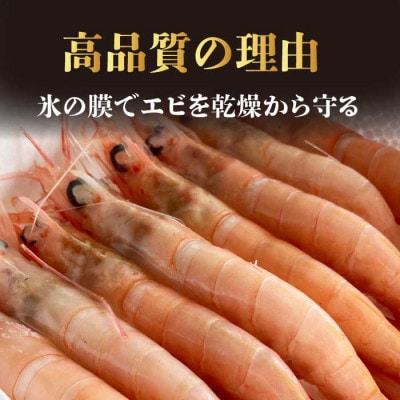 【薩摩の甘エビ】天然タカエビ500g　A0-50