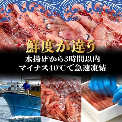 天然タカエビ250g×3箱　A1-1