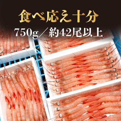 天然タカエビ250g×3箱　A1-1