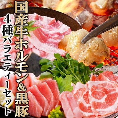 4種バラエティーセット　A8-94