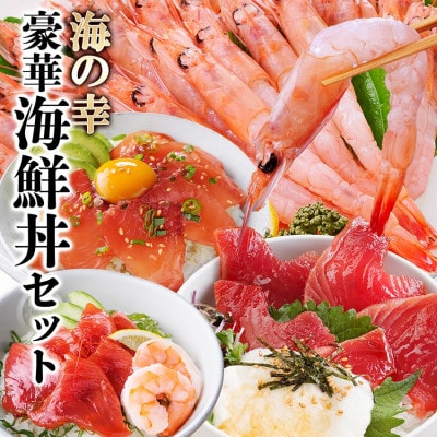 ZIP!で紹介!海鮮丼セット 4種 天然タカエビ (薩摩 甘エビ )鰹・鮪丼  刺身で  A0-33