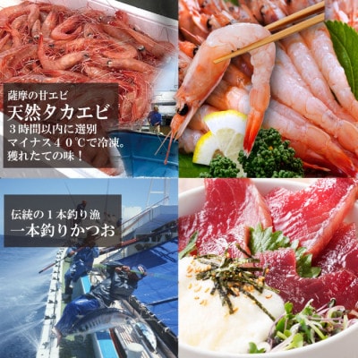 ZIP!で紹介!海鮮丼セット 4種 天然タカエビ (薩摩 甘エビ )鰹・鮪丼  刺身で  A0-33