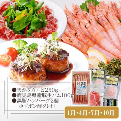 【定期便3回配送】鹿児島県産黒豚・天然タカエビ(薩摩甘エビ)・鰹たたき　OO-0002
