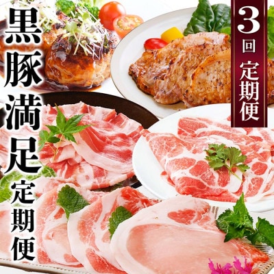 定期便3回配送　黒豚満足　定期便　QQ-0004