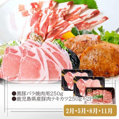 定期便3回配送　黒豚満足　定期便　QQ-0004