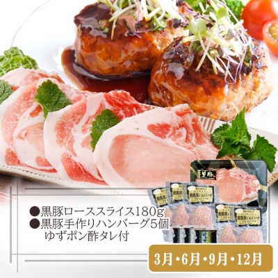 定期便3回配送　黒豚満足　定期便　QQ-0004