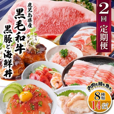 定期便2回配送　鹿児島県産黒毛和牛・黒豚　CC0-0001