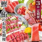 定期便3回配送　鰹とまぐろのお魚定期便　QQ-0005