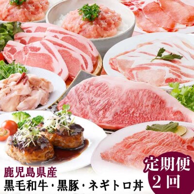 定期便2回配送　バラエティーセット　CC0-0002