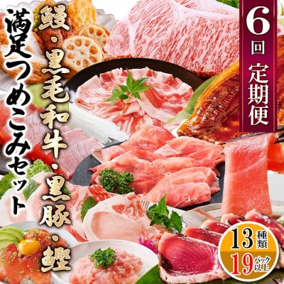 定期便6回配送　満足つめこみセット　GG5-0002