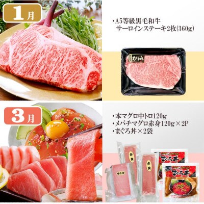 定期便6回配送　満足つめこみセット　GG5-0002