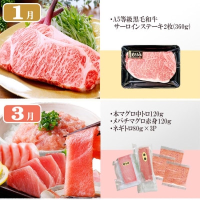 定期便6回配送　満足つめこみセット　GG5-0002