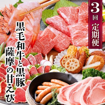 定期便(3回配送)黒毛和牛・黒豚&薩摩の甘エビ　DD5-0002