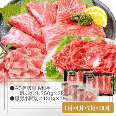 定期便(3回配送)黒毛和牛・黒豚&薩摩の甘エビ　DD5-0002