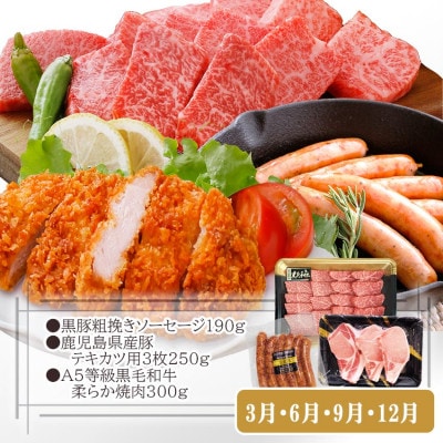定期便(3回配送)黒毛和牛・黒豚&薩摩の甘エビ　DD5-0002