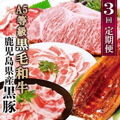 定期便3回配送　黒毛和牛・黒豚&うなぎ DD5-0001