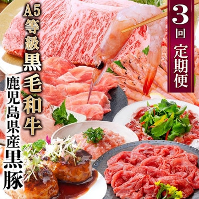 定期便3回配送　黒毛和牛・黒豚&タカエビ　 DD5-0001