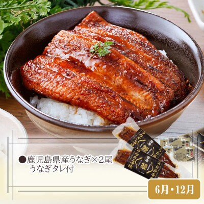 定期便3回配送　黒毛和牛・黒豚&うなぎ DD5-0001