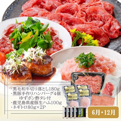 定期便3回配送　黒毛和牛・黒豚&タカエビ　 DD5-0001